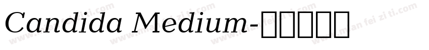 Candida Medium字体转换
